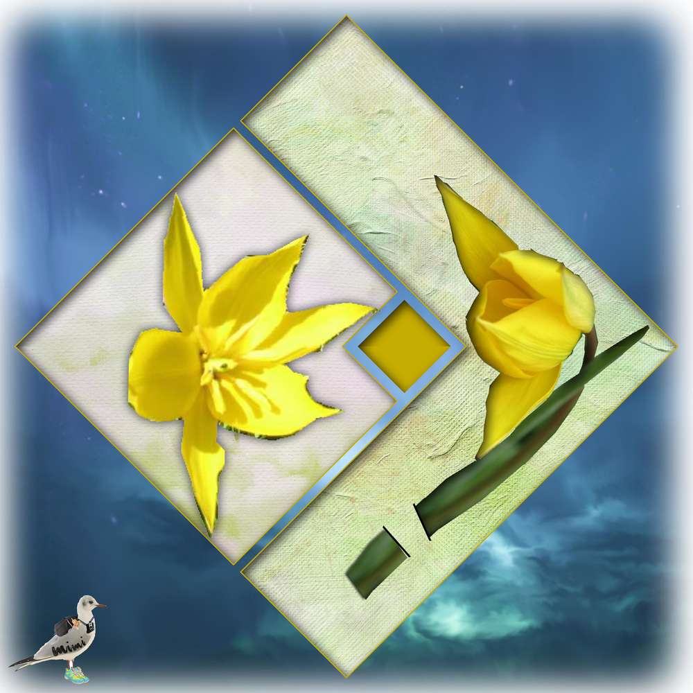 challengestudioscrap-tulipe