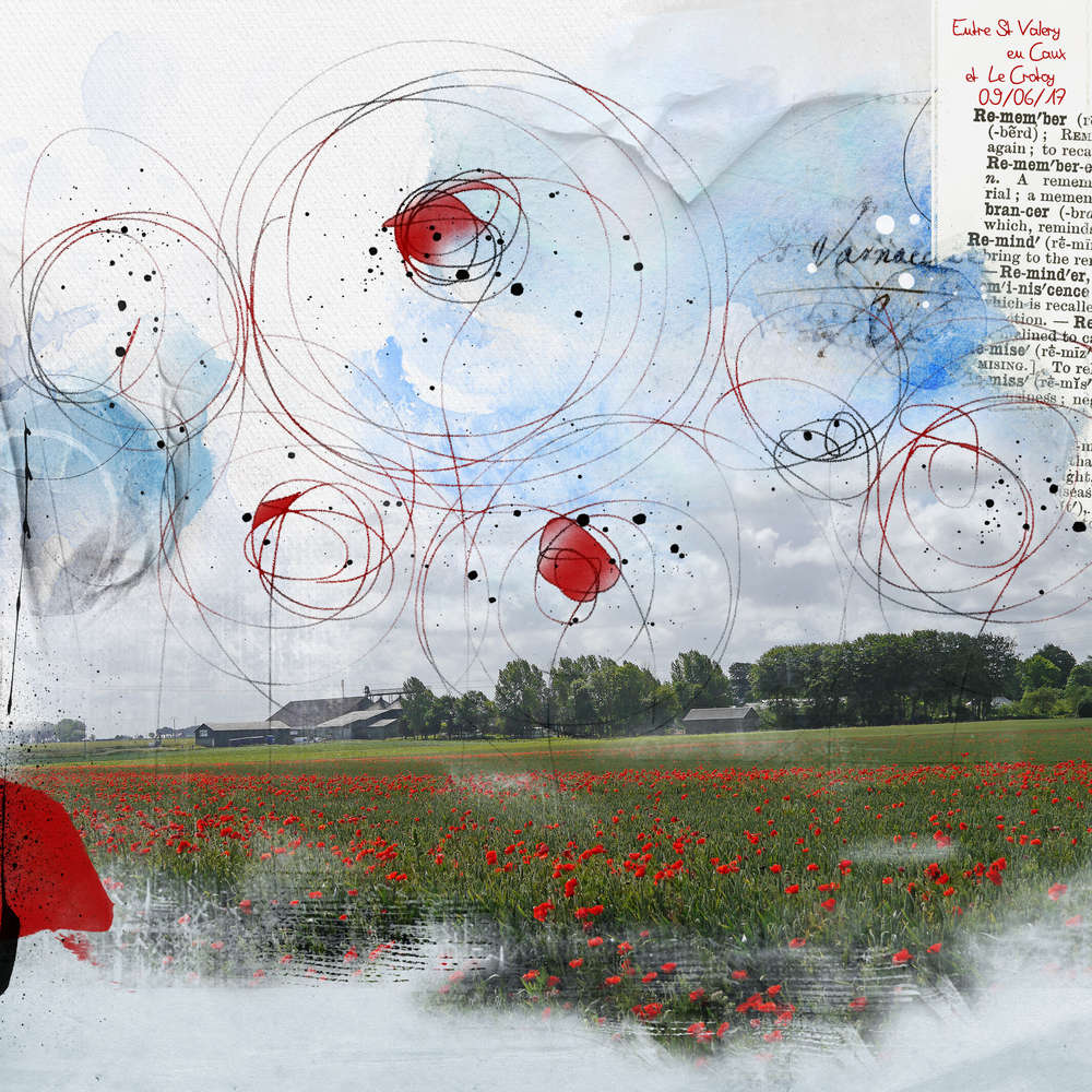 Champ de coquelicots 1