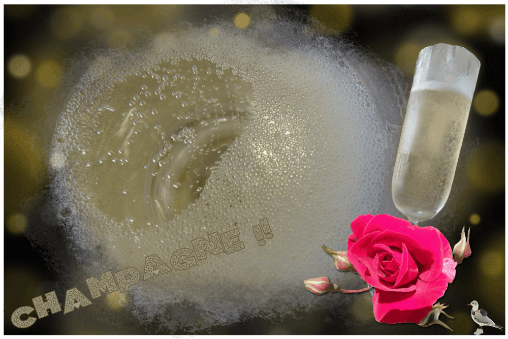 champagne !