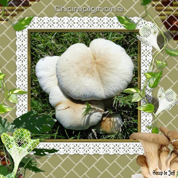 Champignon
