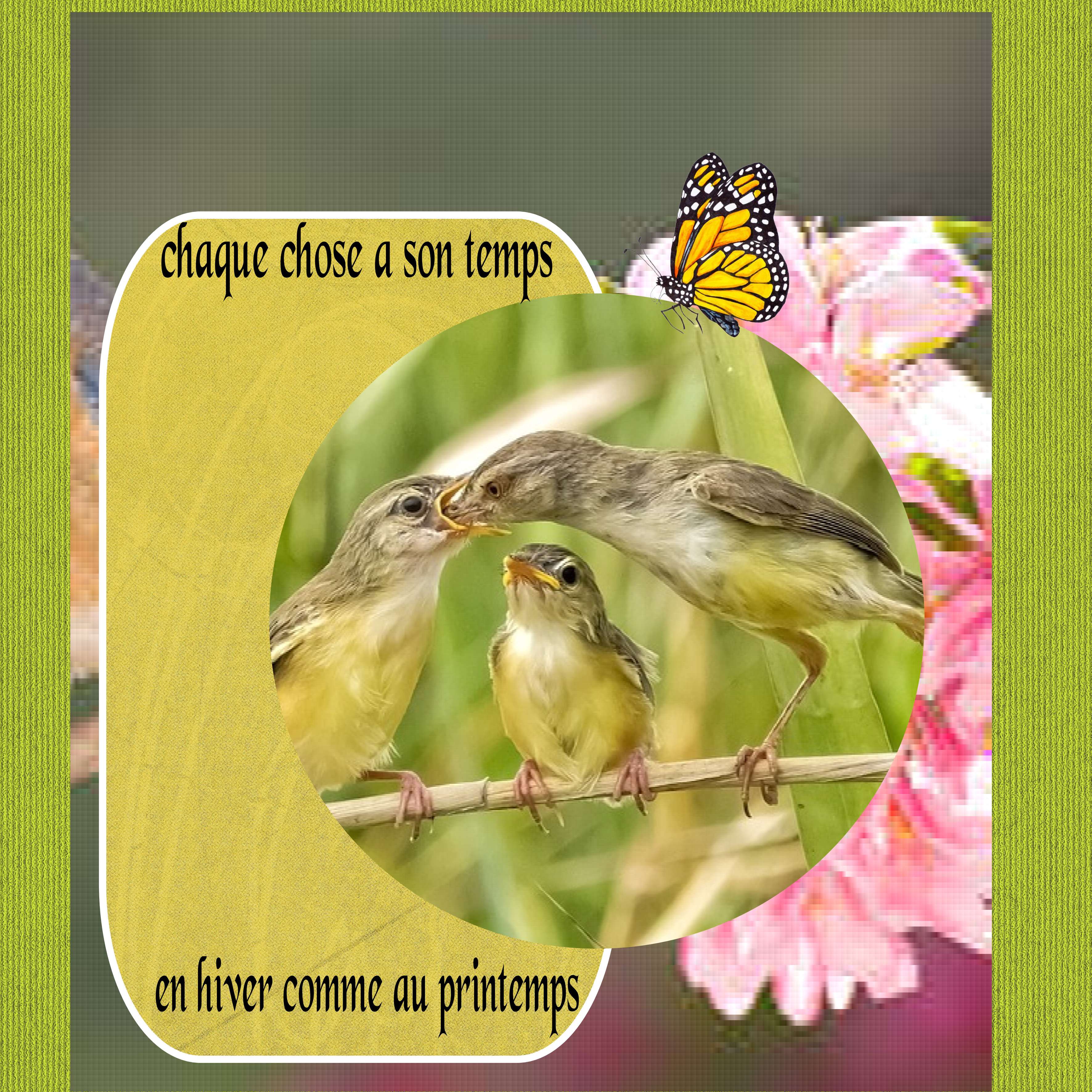 chaque chose a son  temps.jpg