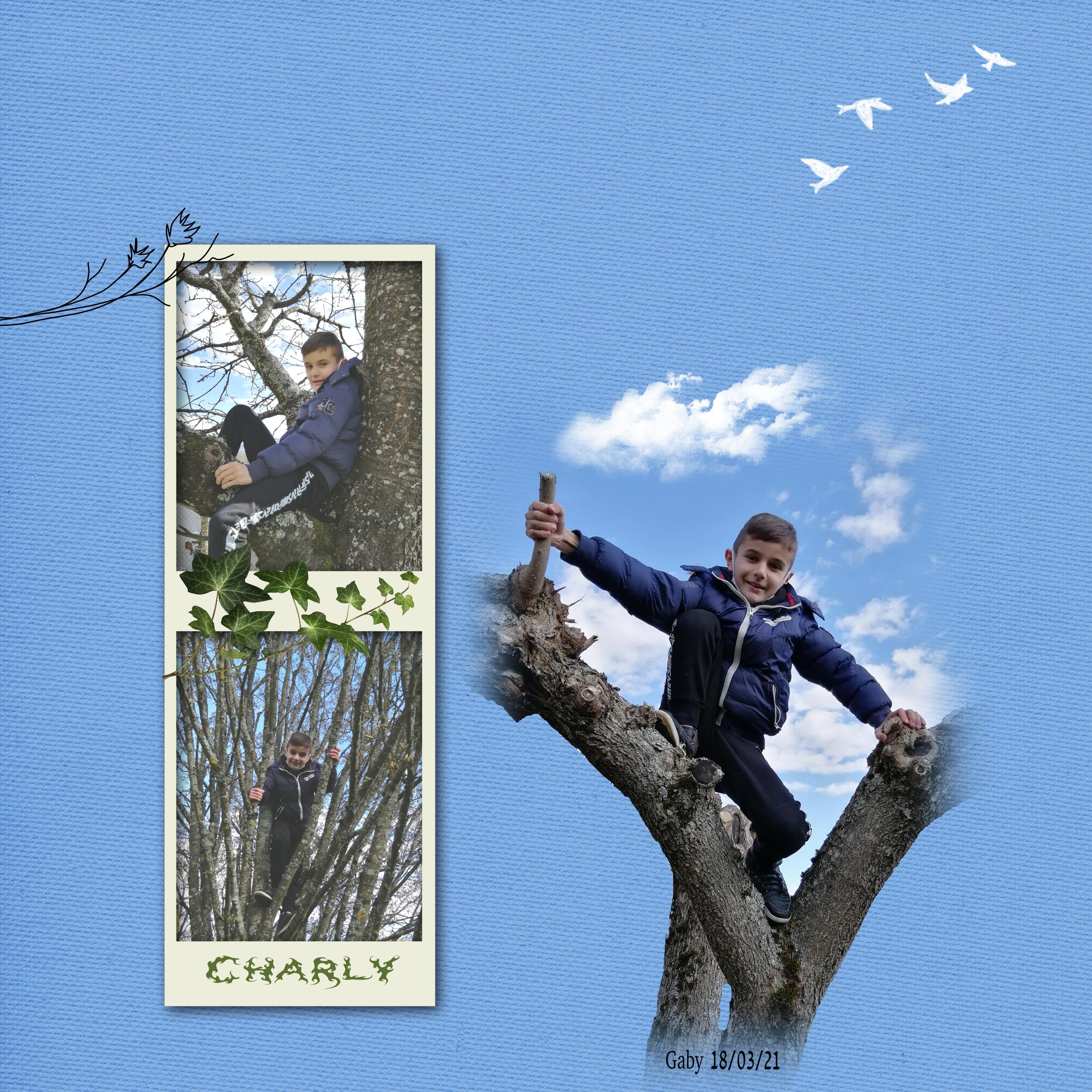 Charly arbre.jpg
