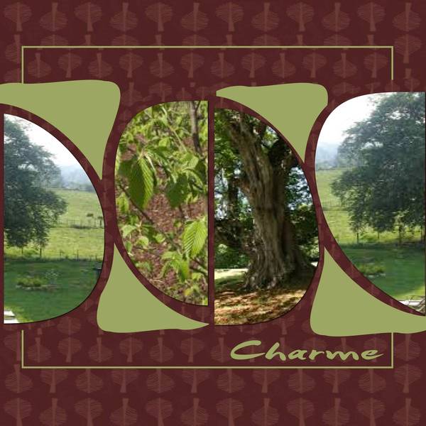 charme
