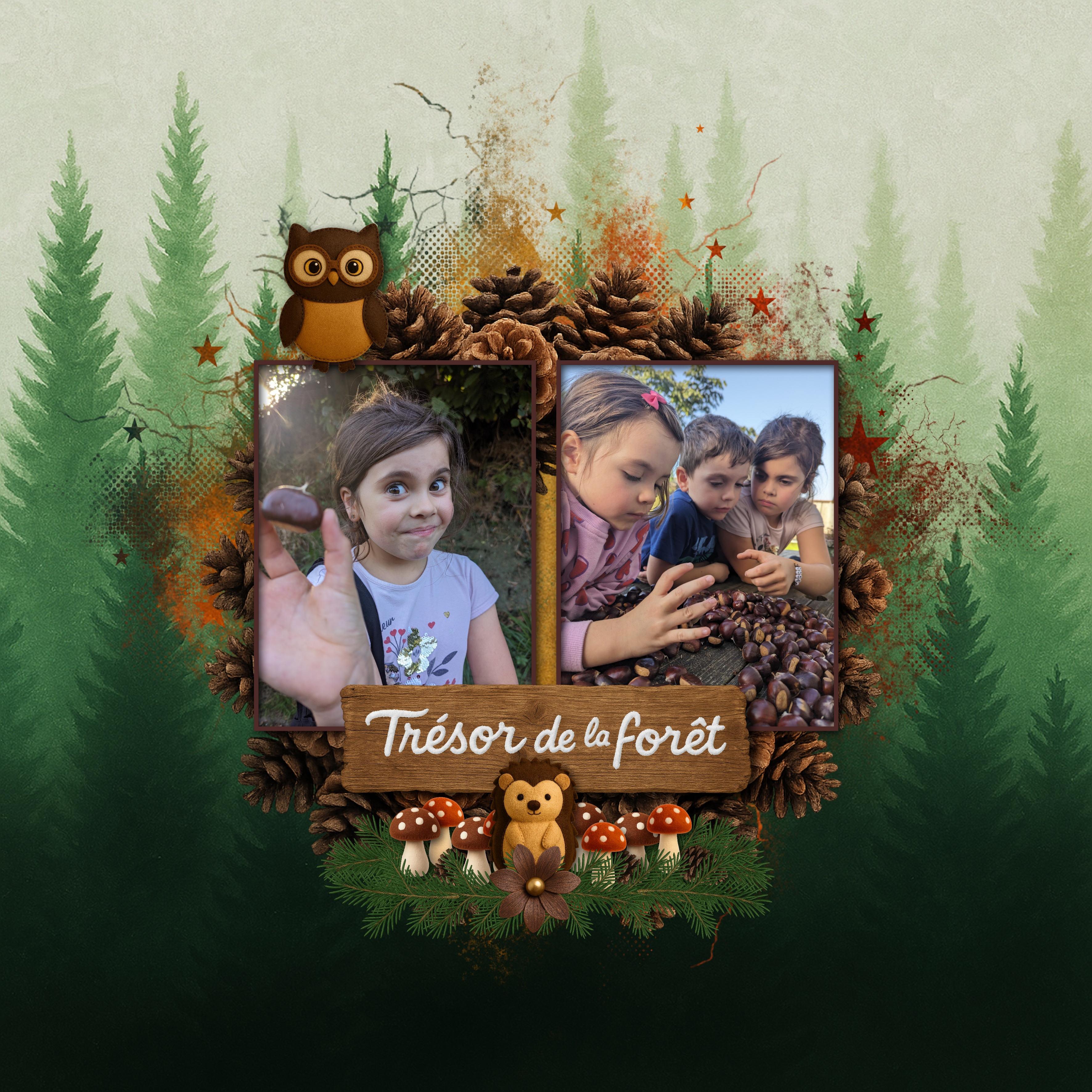 Chasse aux chataîgnes