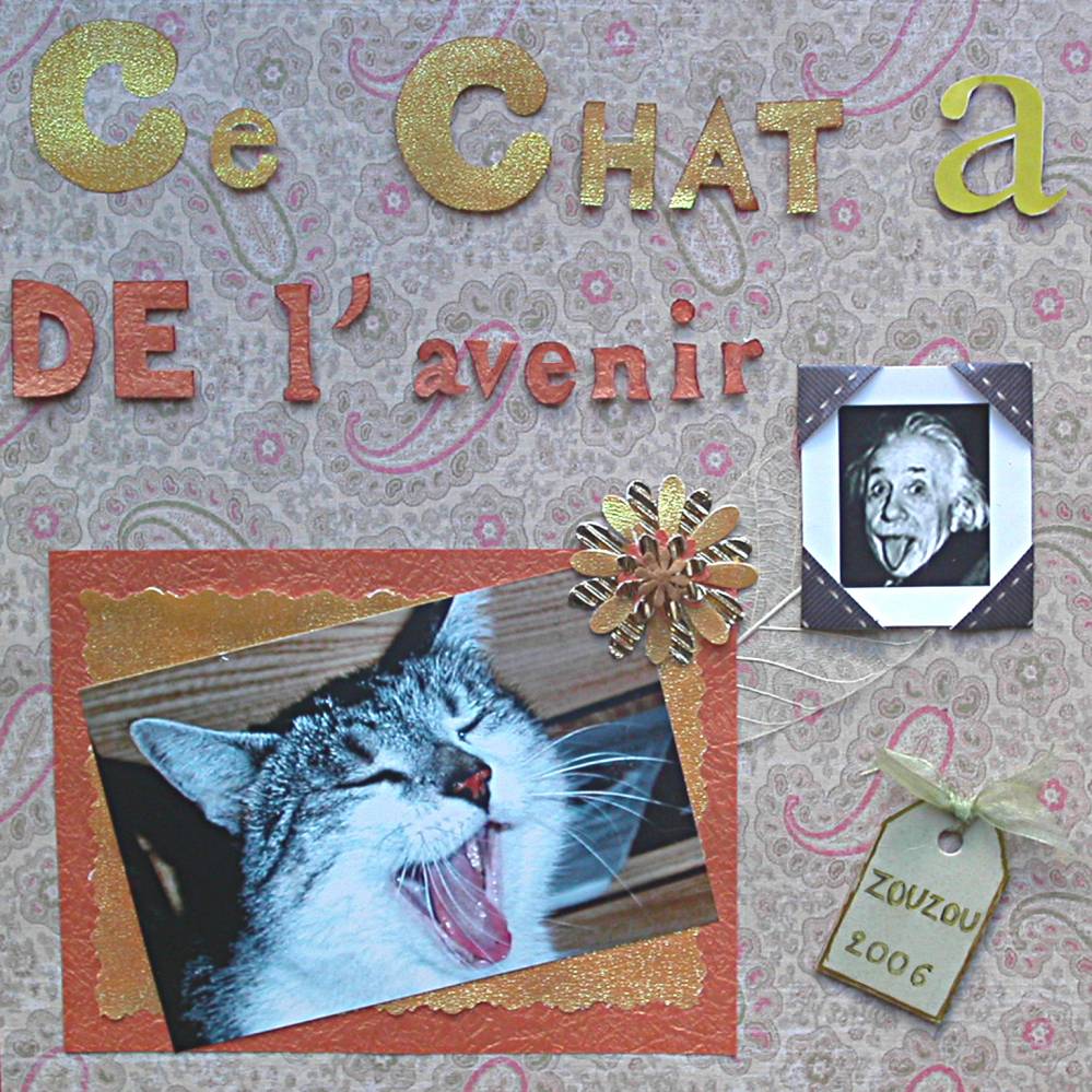 chat  et  Einstein