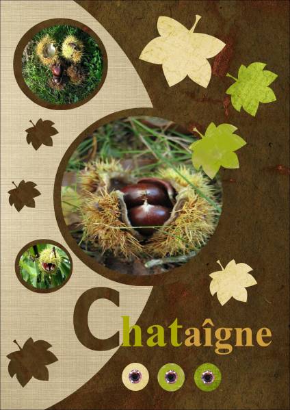 chataîgnes d'automne