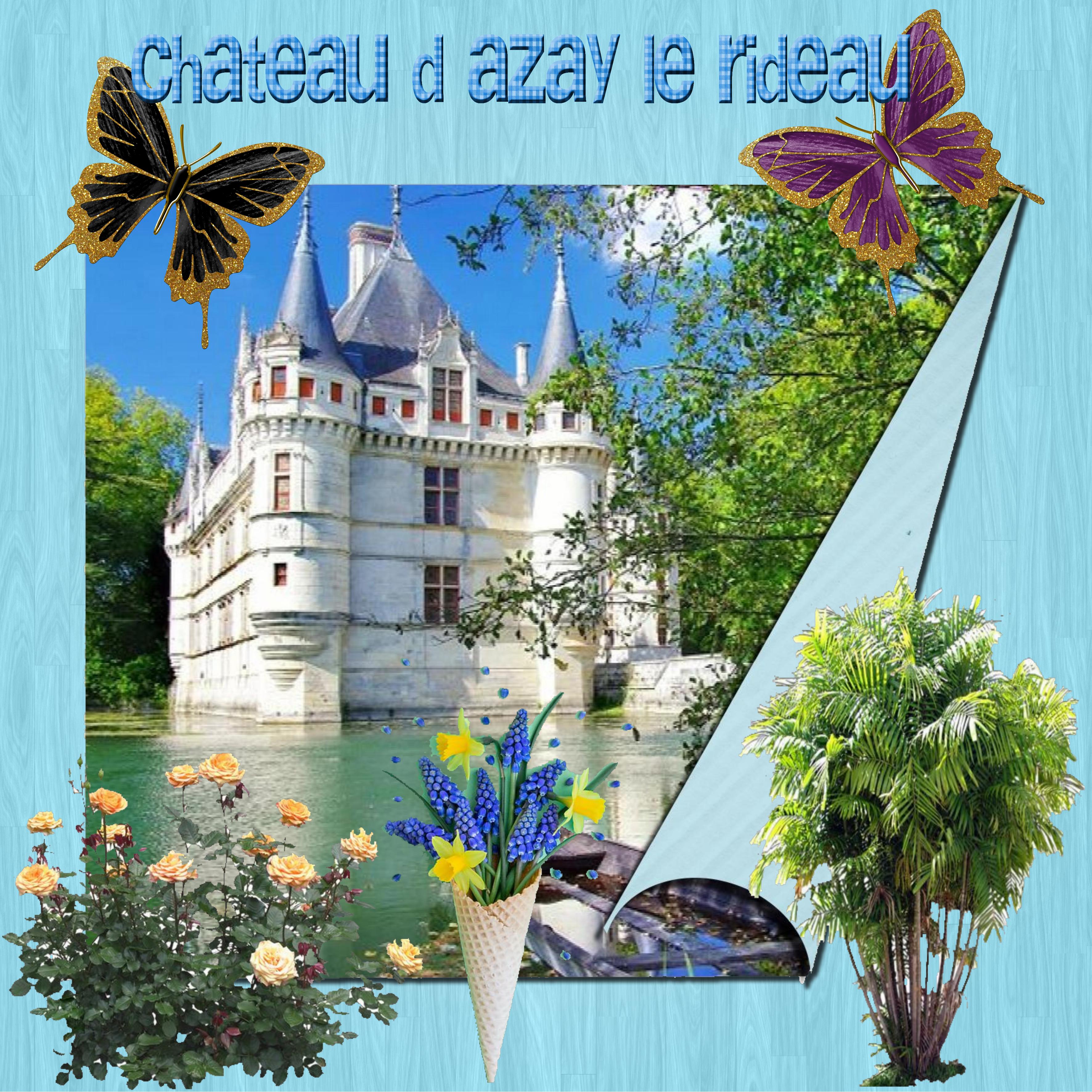 chateau azay le rideau.jpg