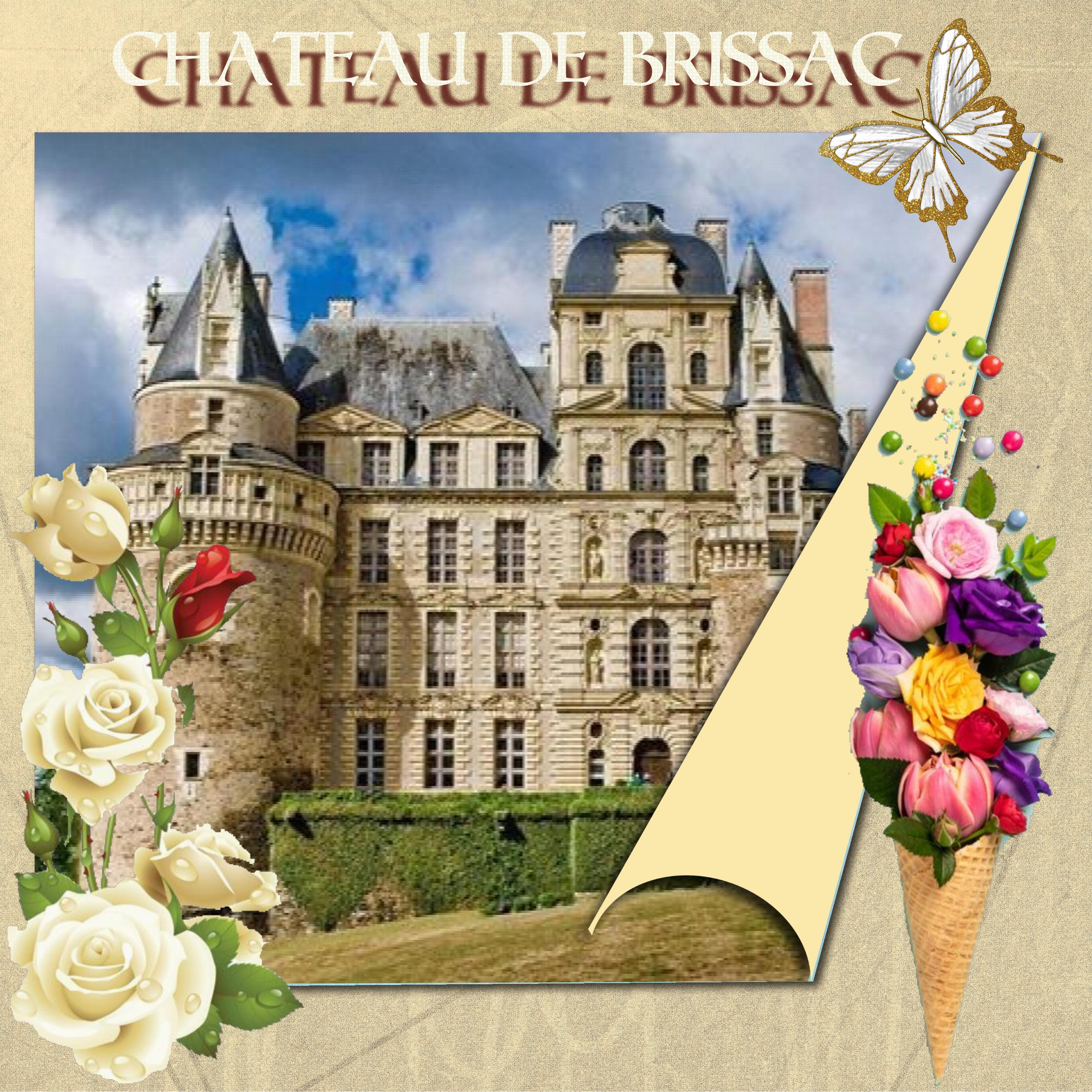 chateau de  brissac.jpg