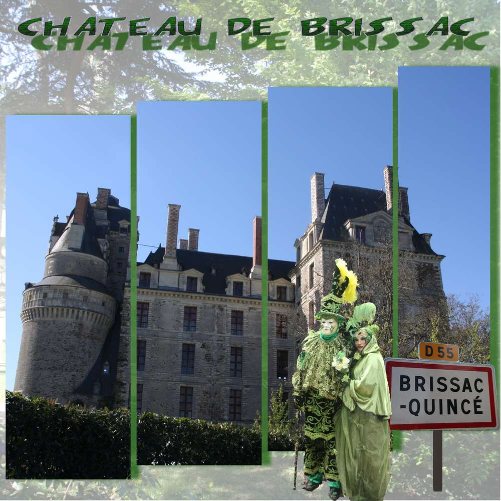 chateau de brissac