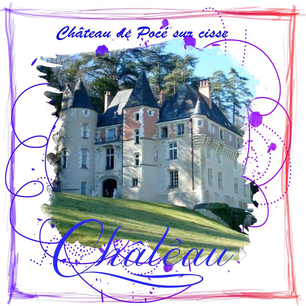 Château de Pocé sur Cisse