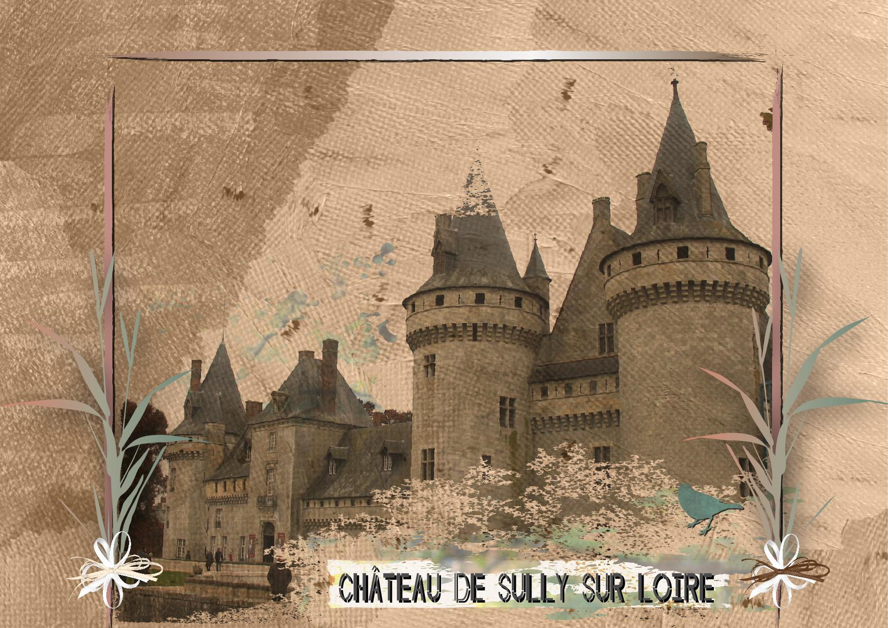 Château de Sully-sur-Loire.jpg