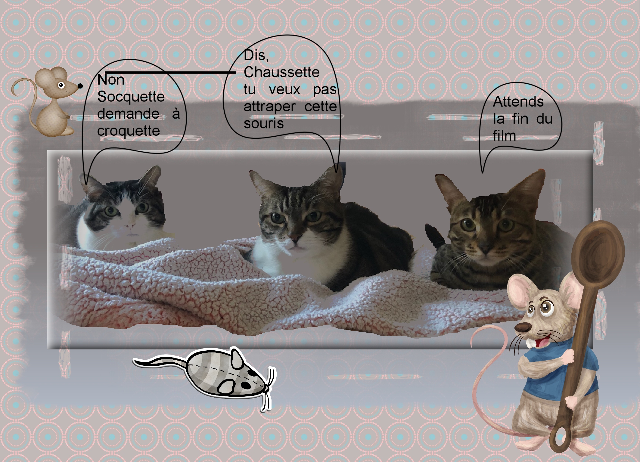 Chats 28 11 2020.jpg