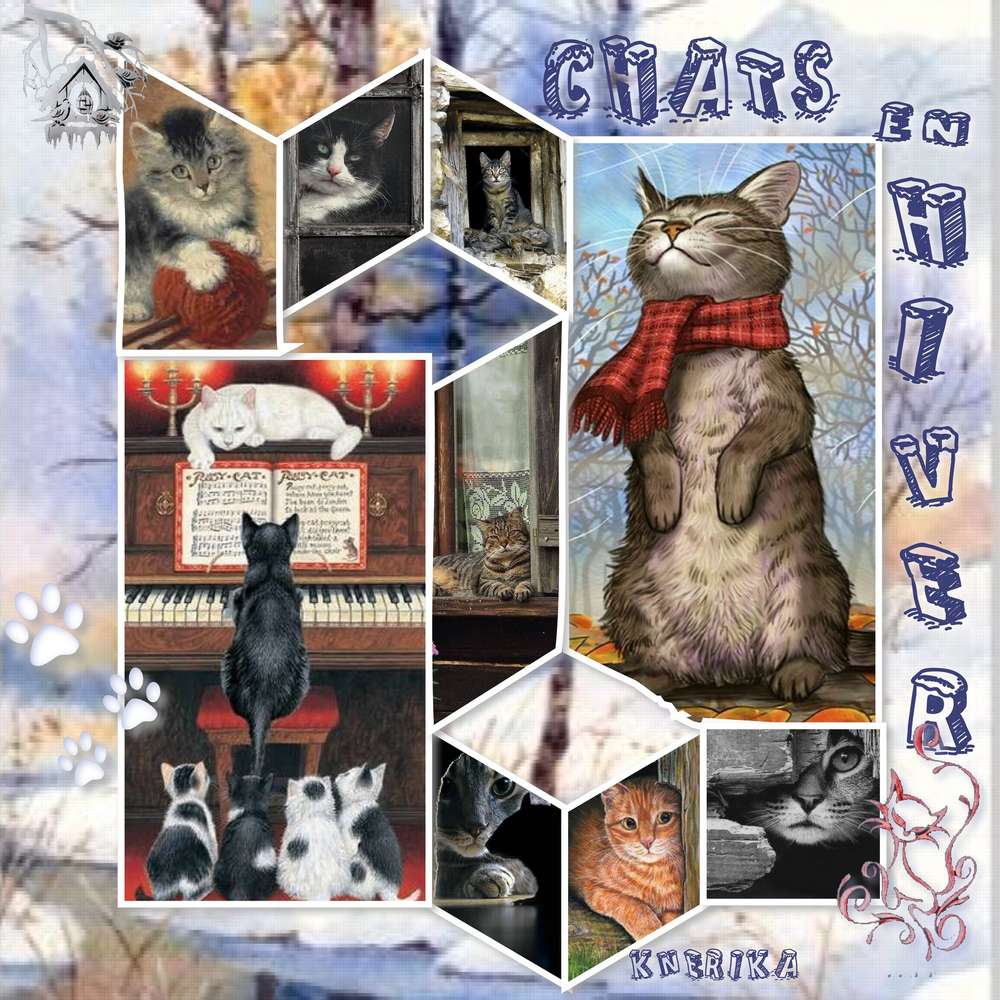 chats_en_hiver_du_20-02-19_OK