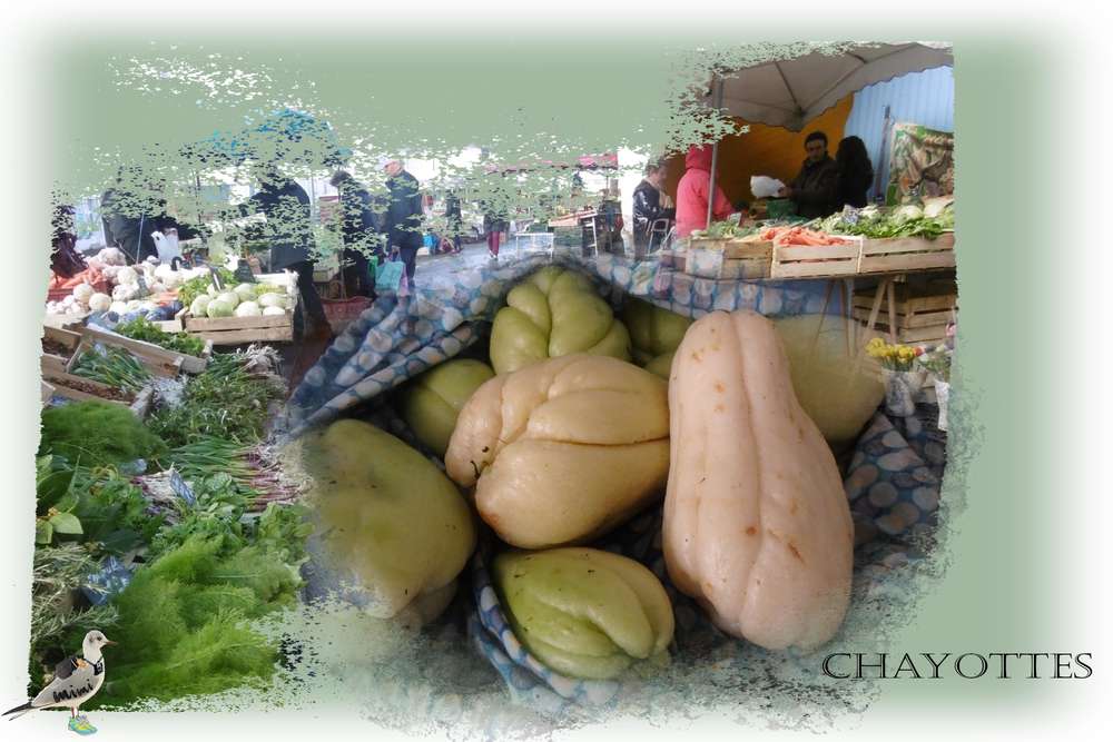 chayottes