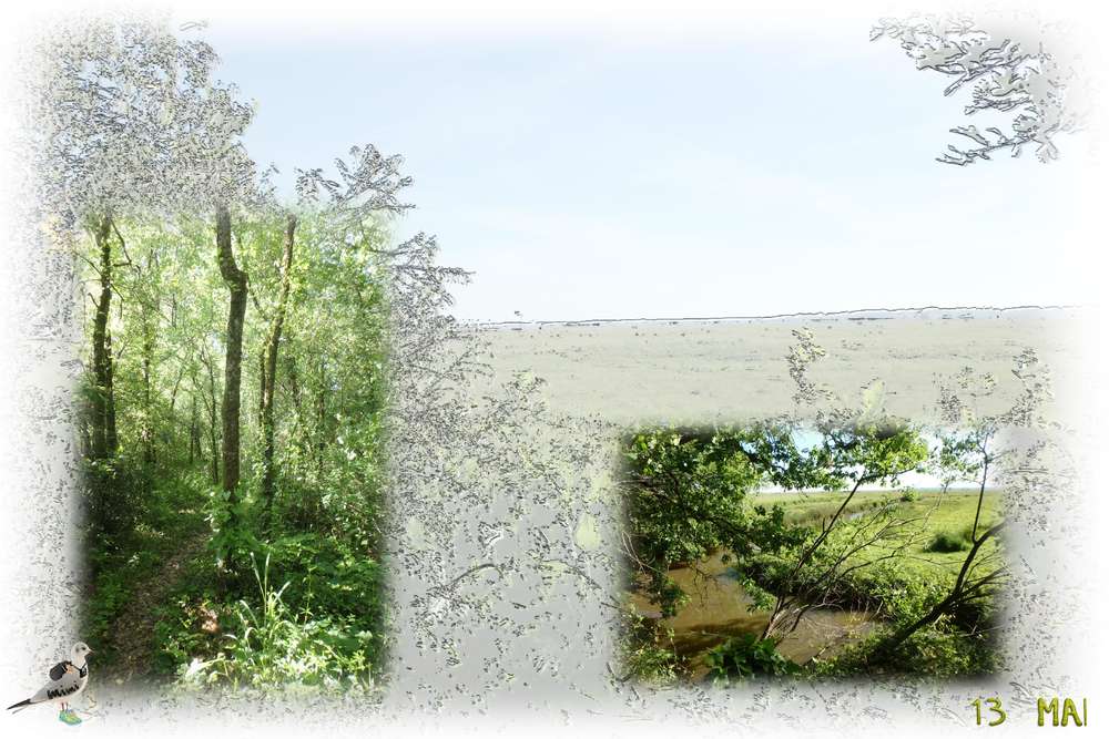 chemin de randonnée.....