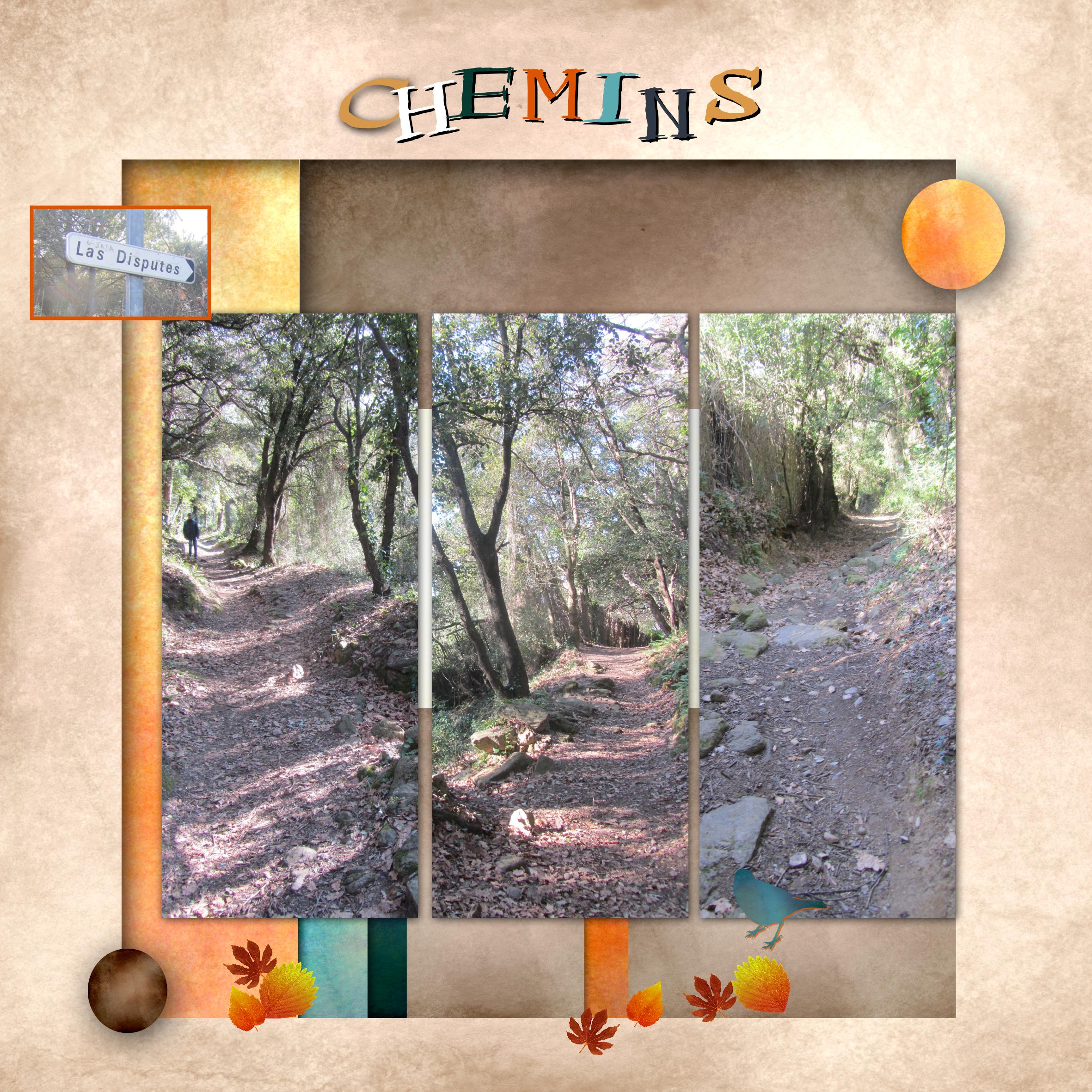 Chemin des disputes.jpg