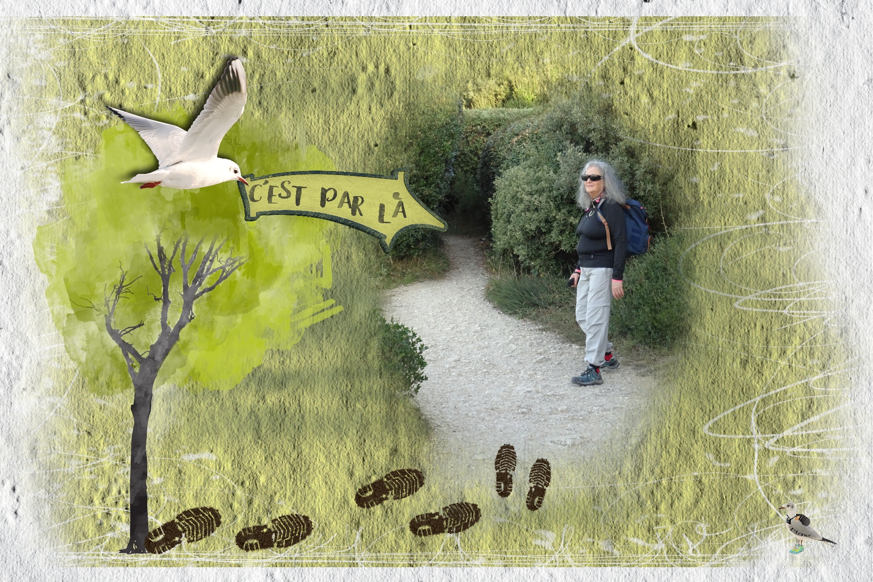 Chemin des douaniers-de la plage de Pontaillac (Royan)  à St Palais-18sept.jpg