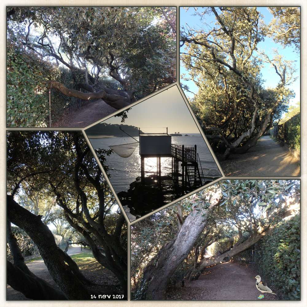 Chemin des douaniers