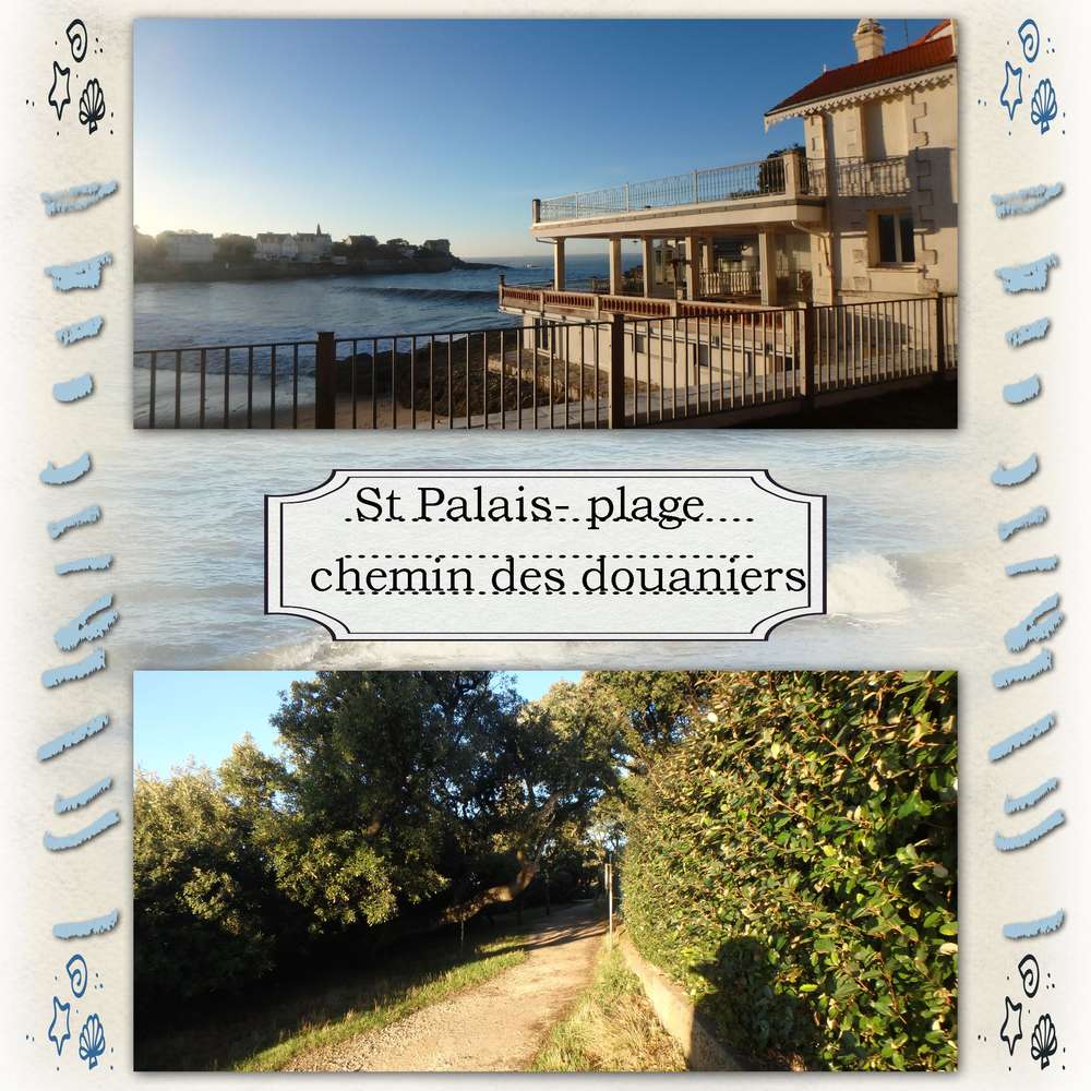 chemin des douaniers1