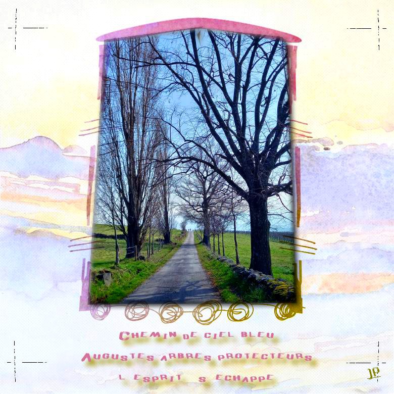 chemin.jpg