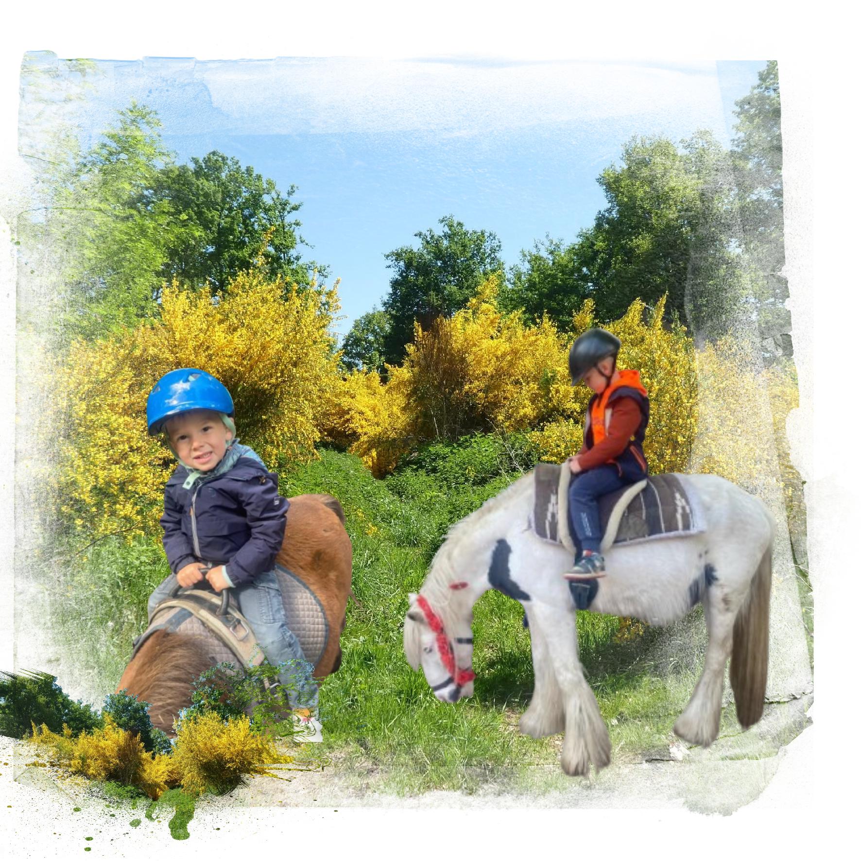cheval.jpg