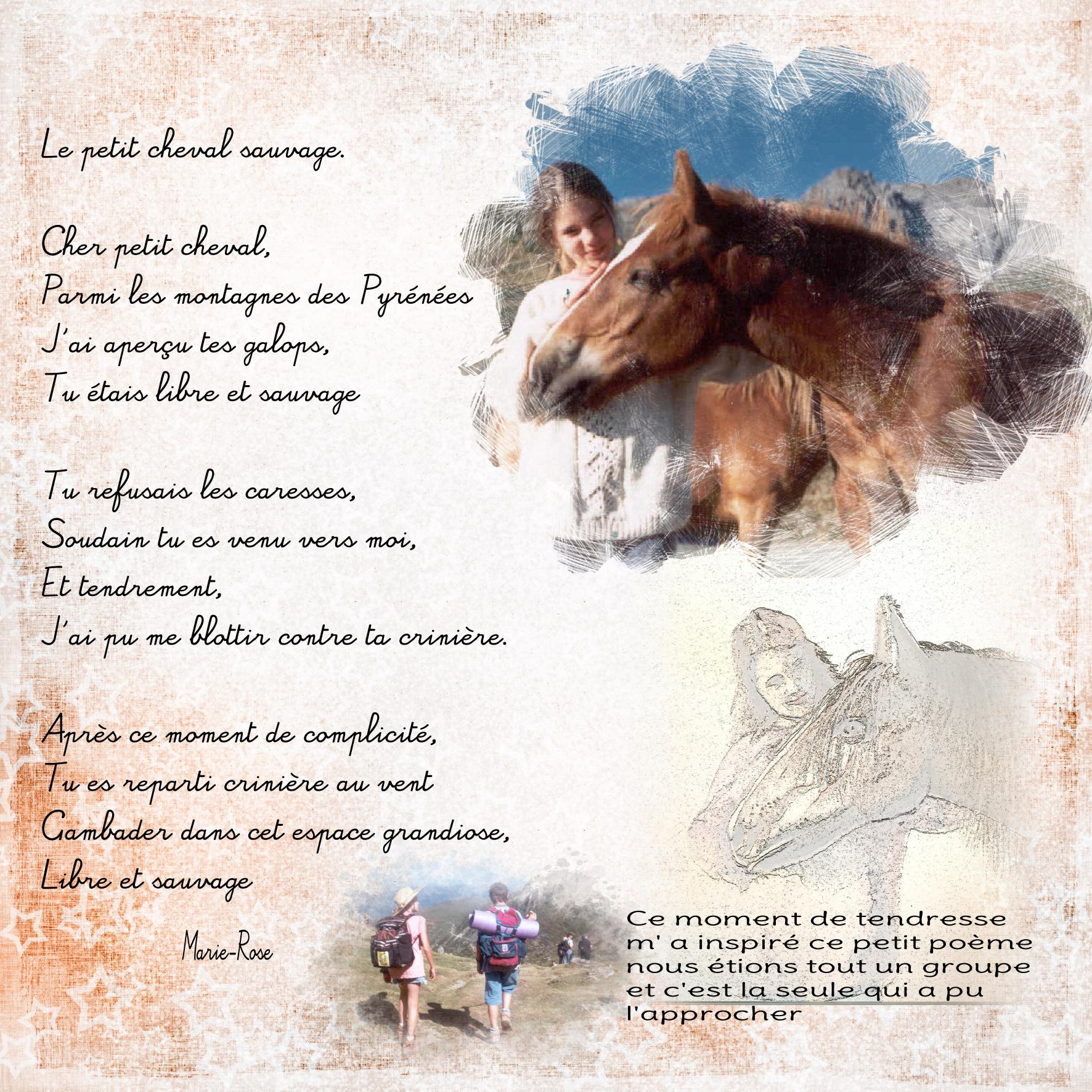 cheval.jpg