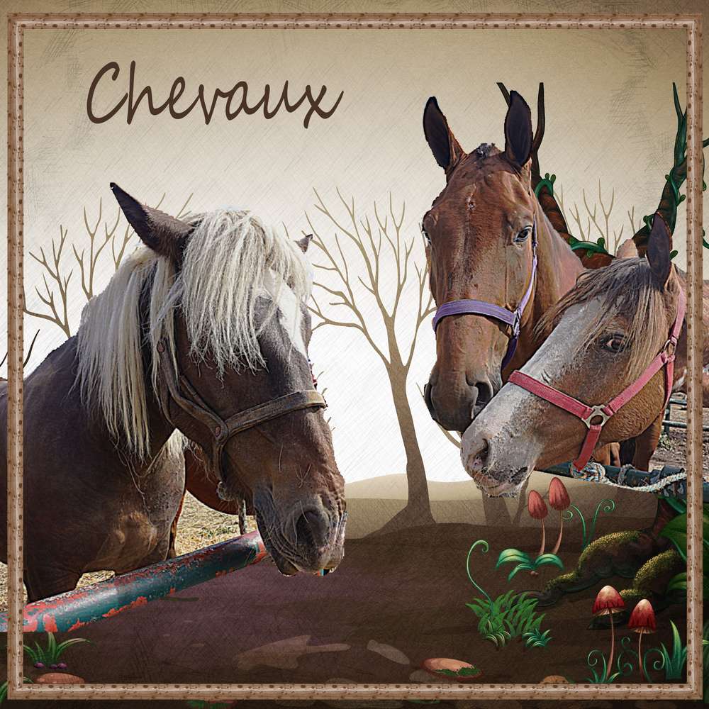 Chevaux