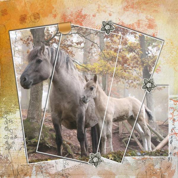 Chevaux_dans_la_brume