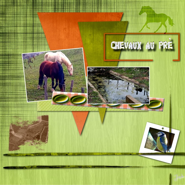 cheveaux au pré vers le lavoir la Cula.jpg