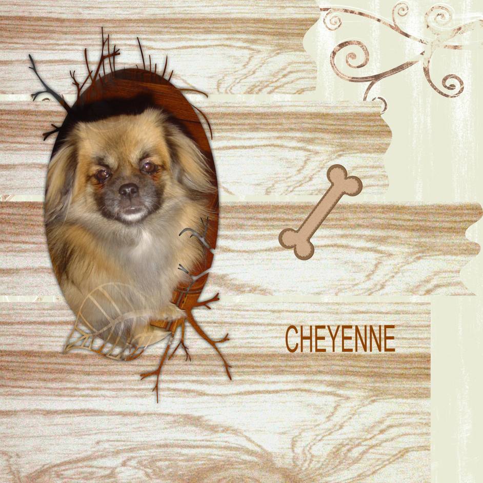 Cheyenne
