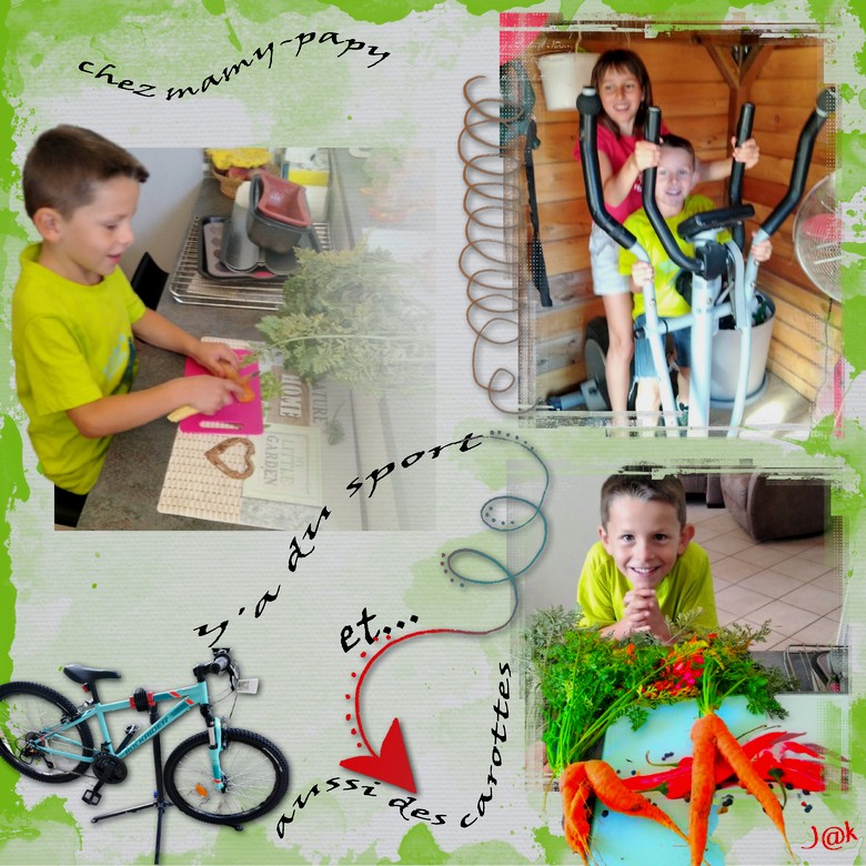 chez mamy-papy y'a du sport et aussi des carottes.jpg