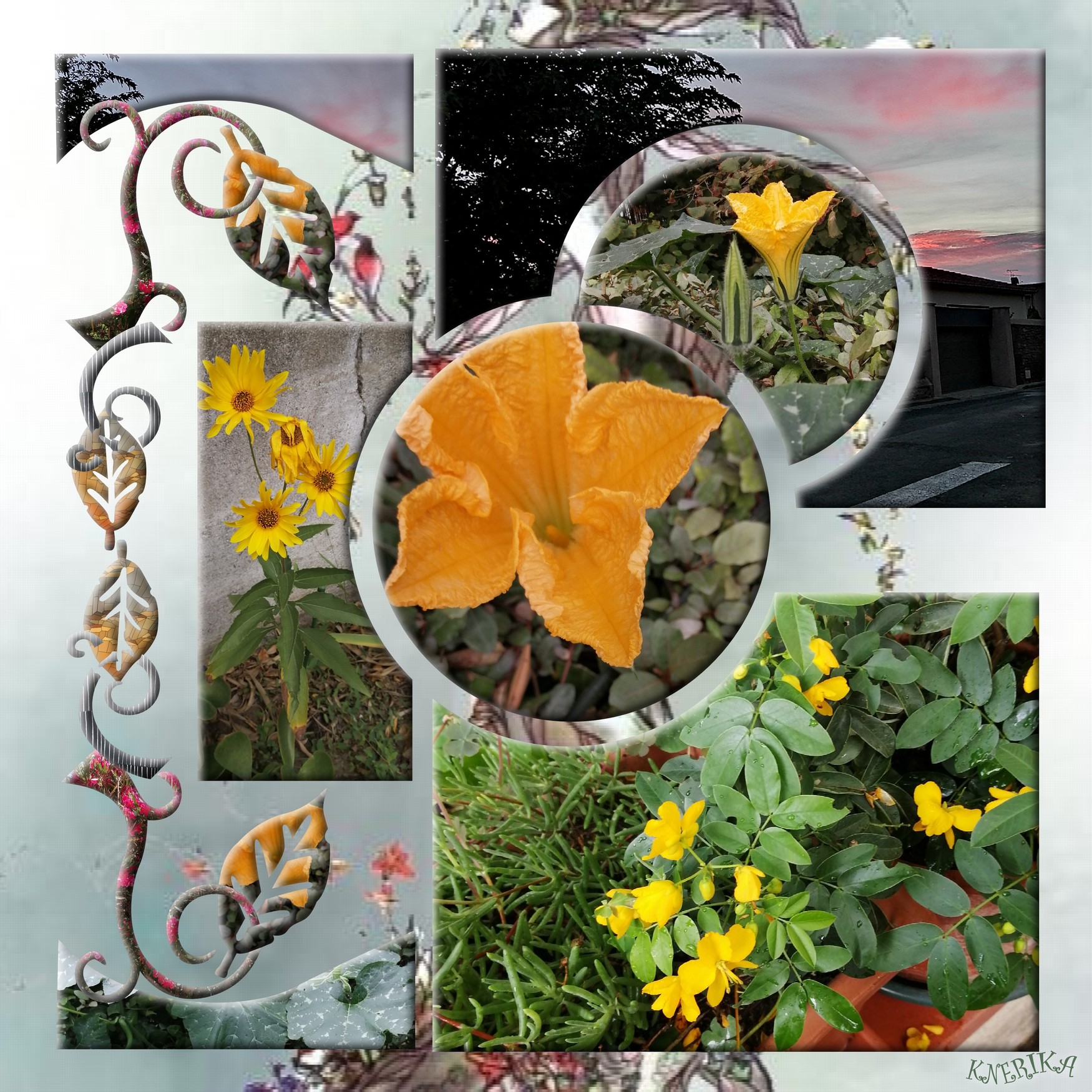 Chez moi au soleil levant, Anne Marie