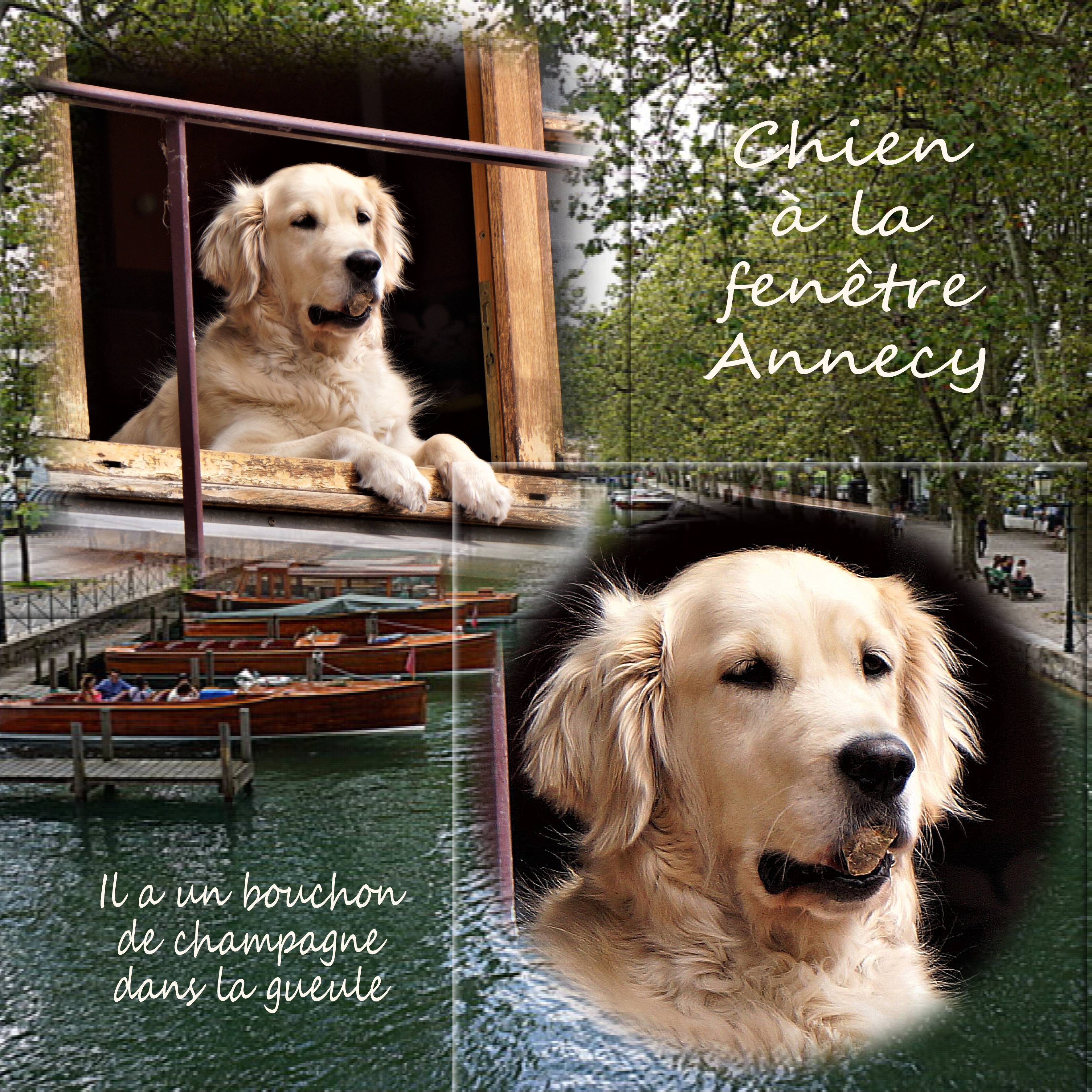 Chien scraptober.jpg