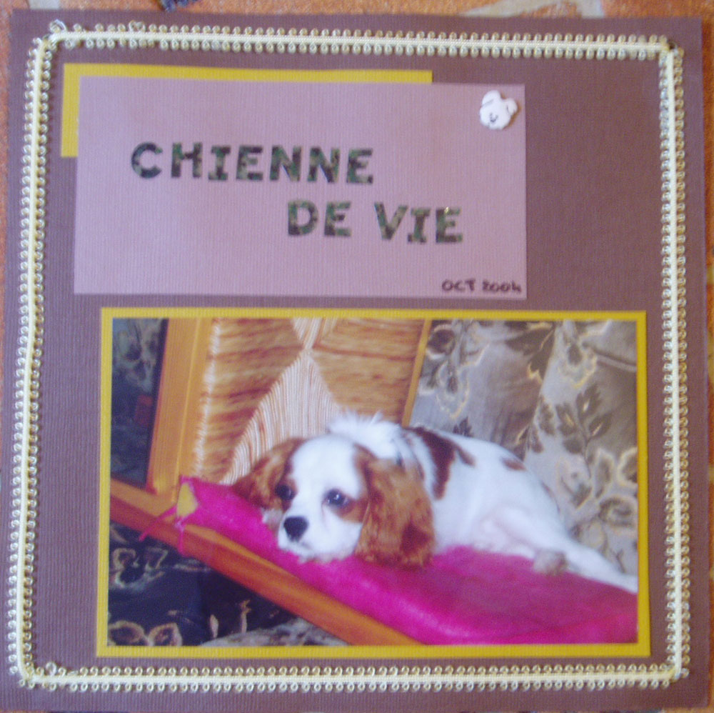 Chienne de vie