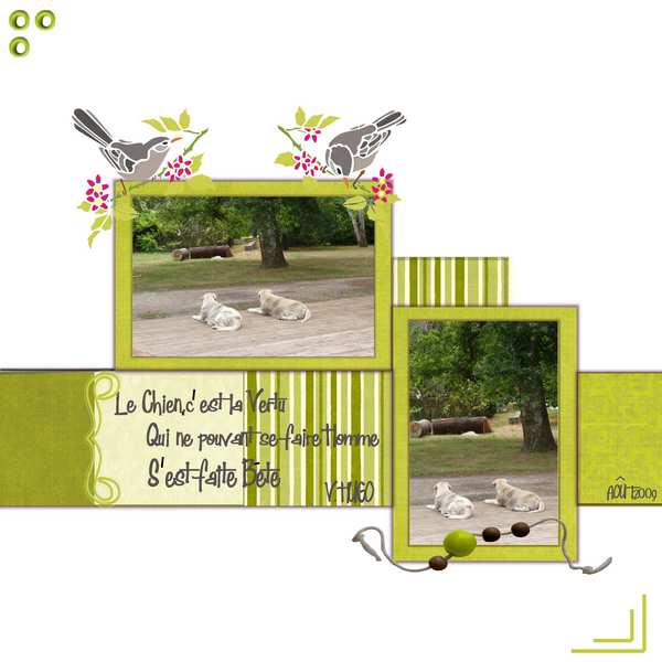 Chiens fidèles attendant le retour du Maitre !