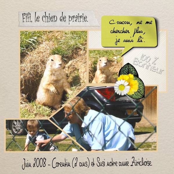 chiens_de_prairie