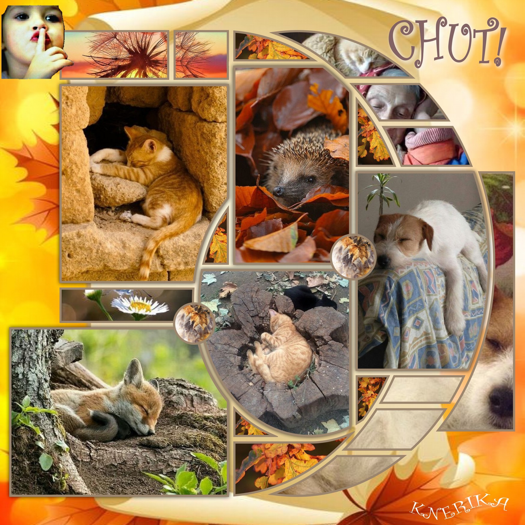 chut, ils dorment! .jpg