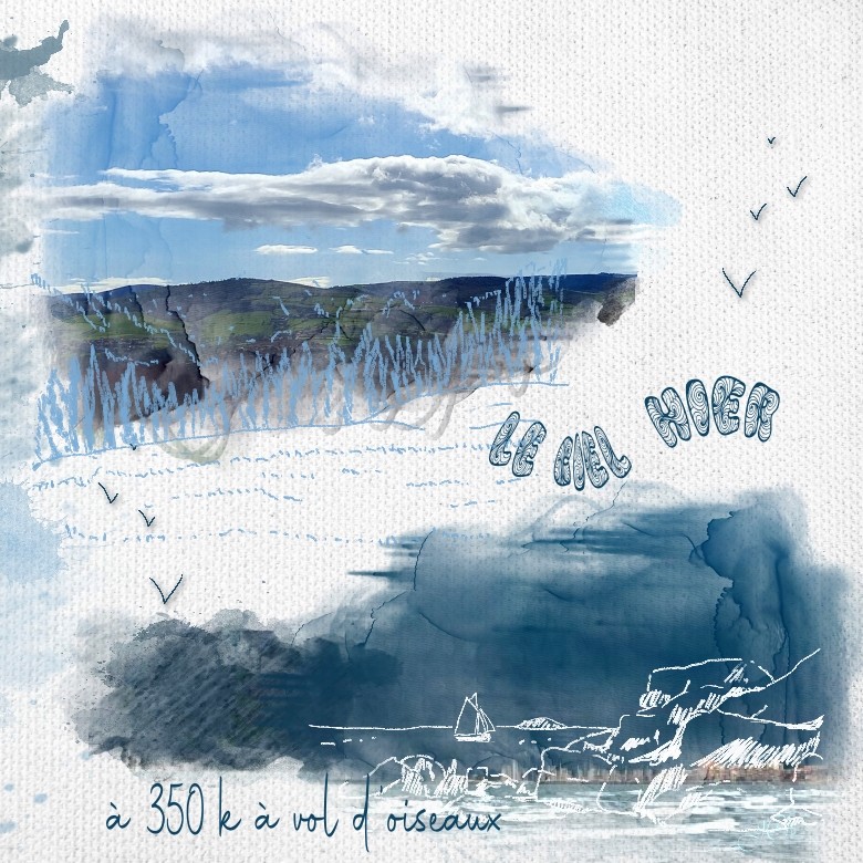 ciel a 350k vol d oiseaux _30-10-21.jpg