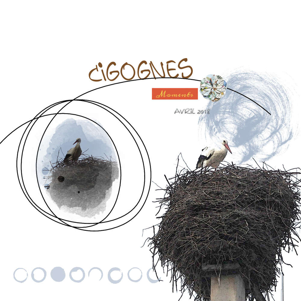 Cigognes