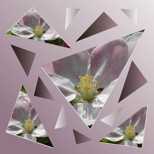 CINQ - SCRAPATHON -- BEAUTE FLORALE