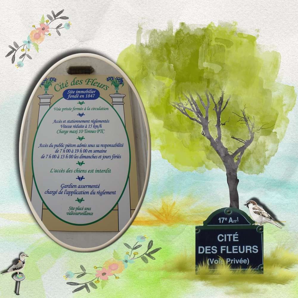 cité des fleurs1
