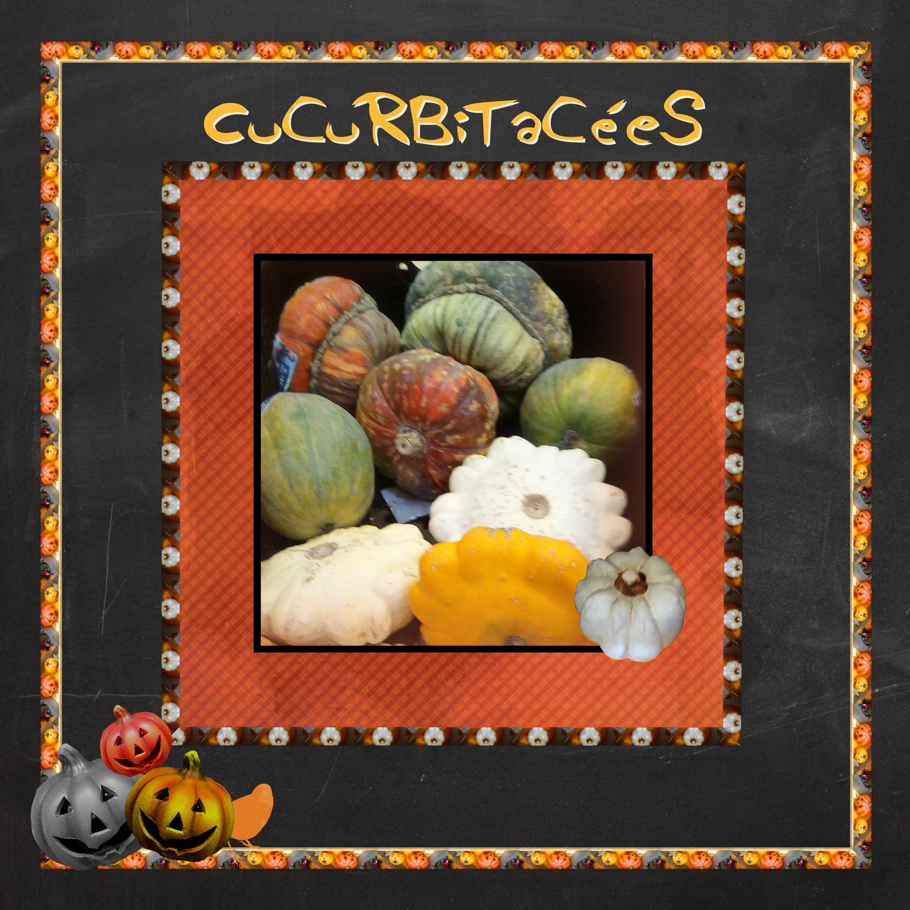 Citrouilles.jpg