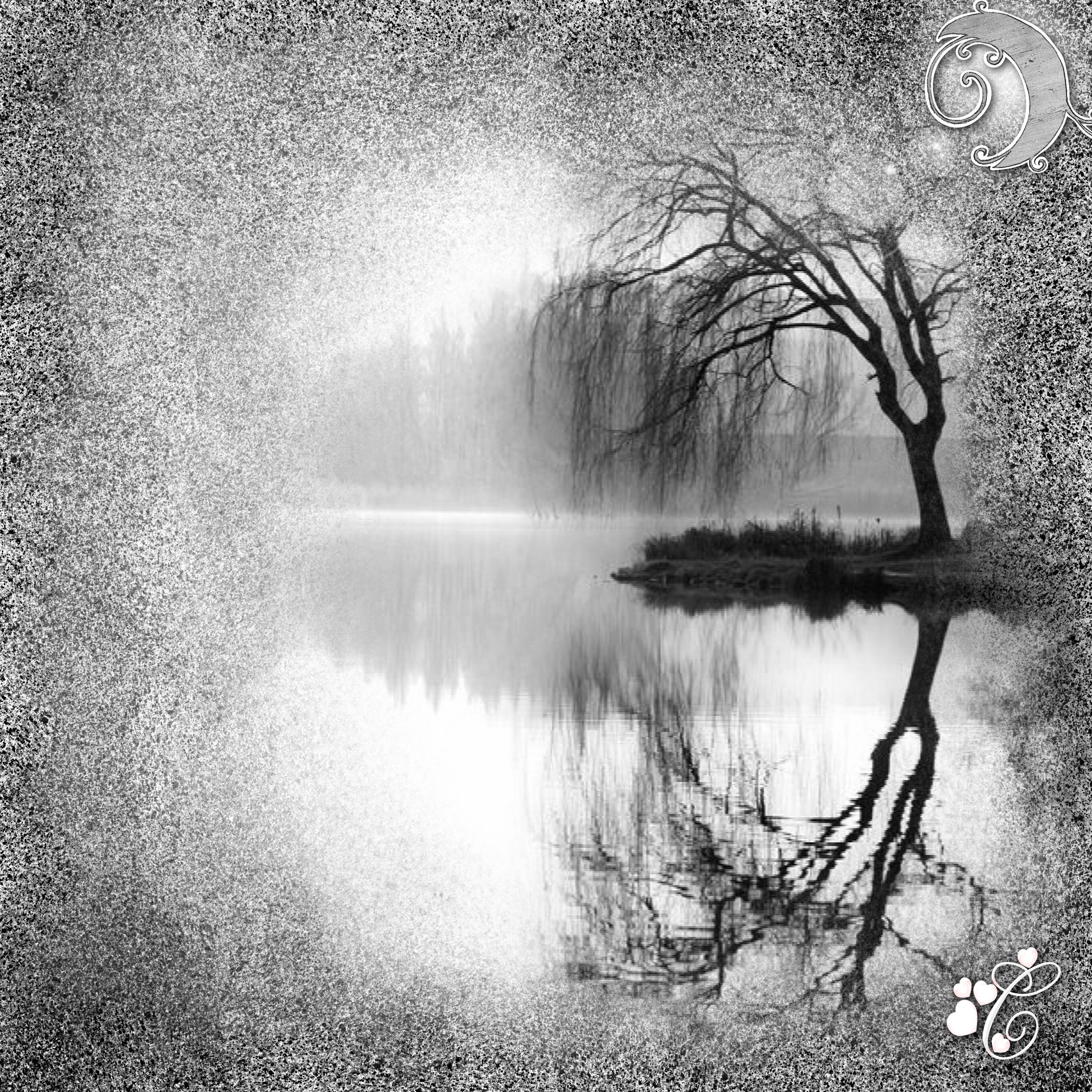 clair de lune noir et blanc.jpg