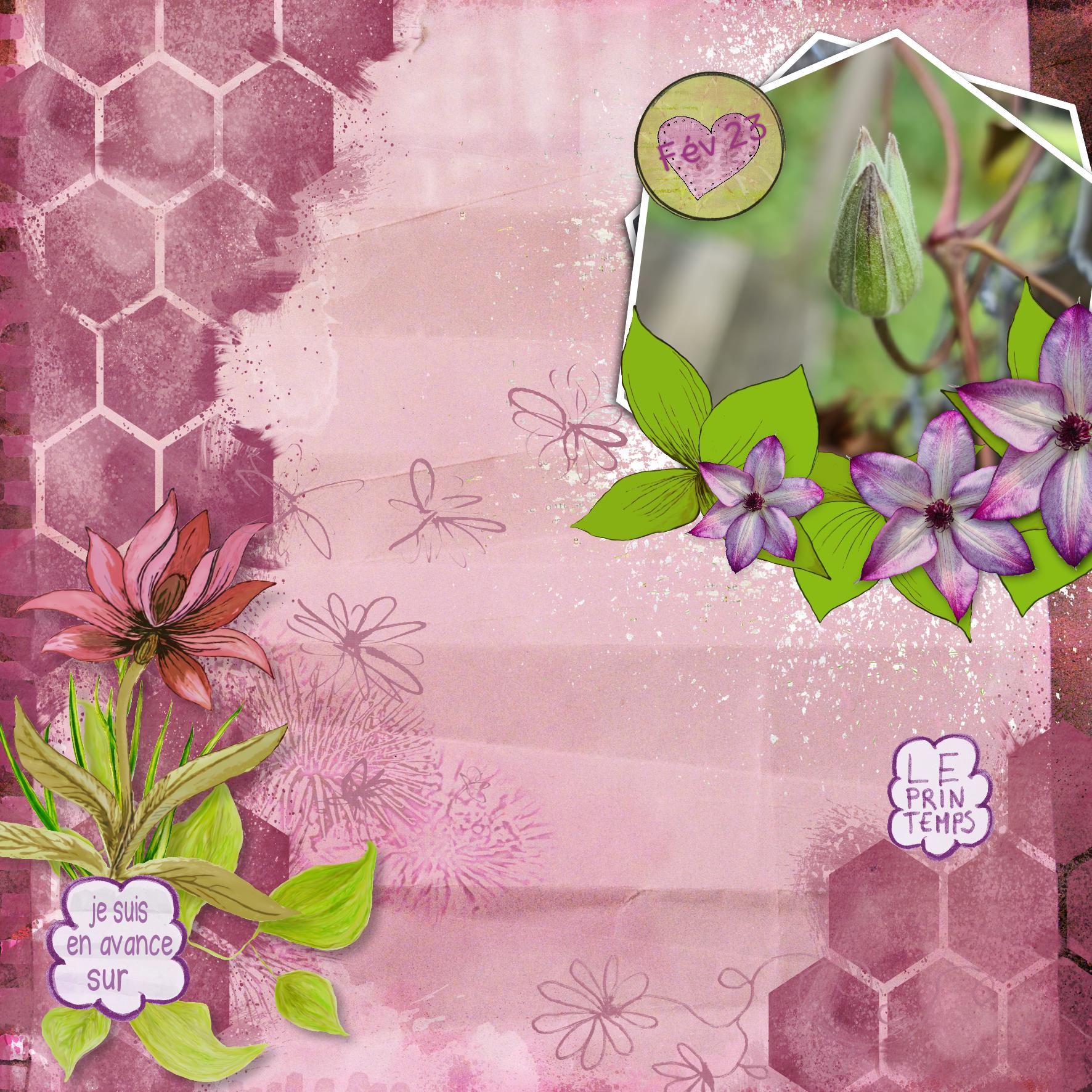 clematite fev 23.jpg