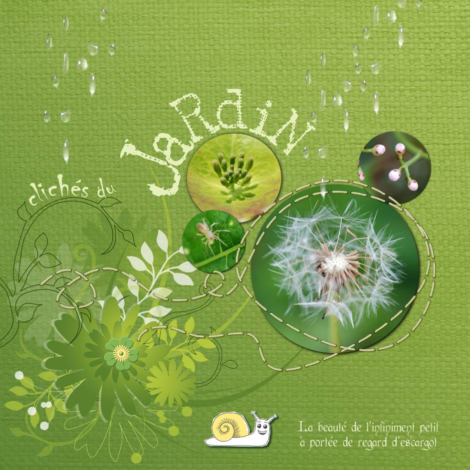 Clichés du jardin
