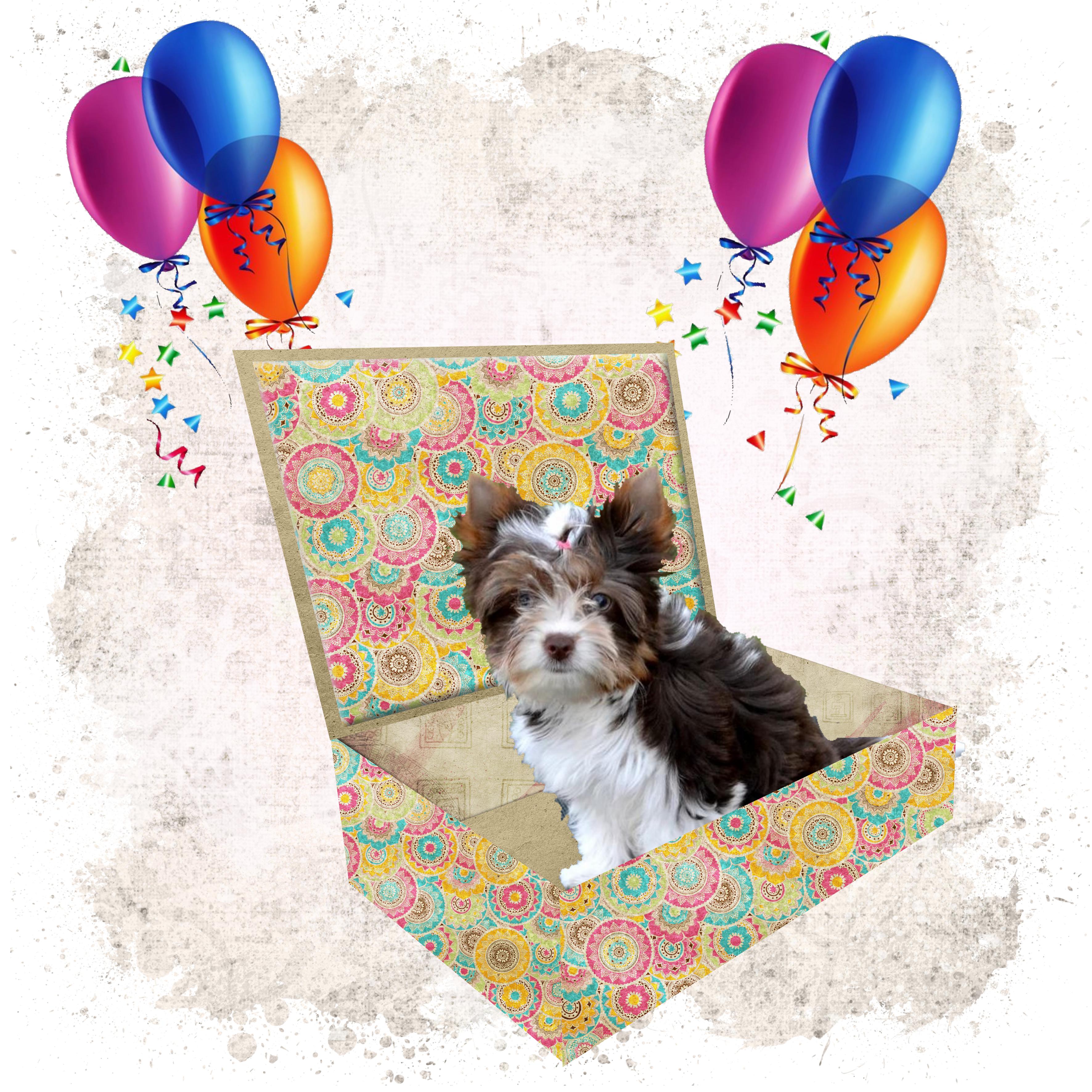 cliquer dessus pour voir la suite