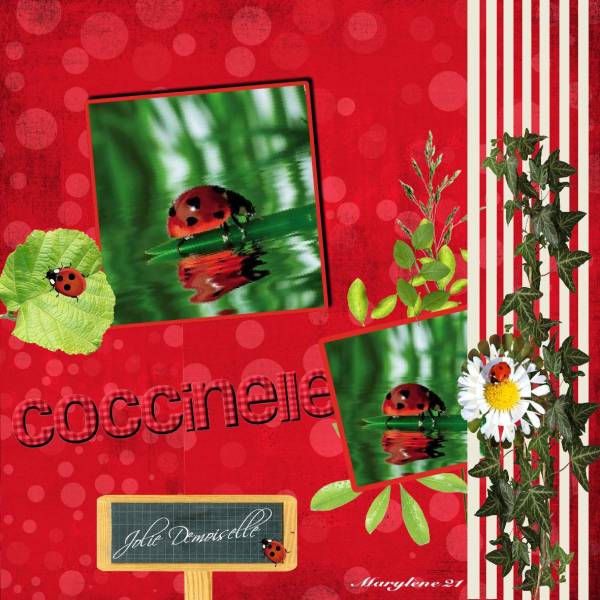 COCCINELLE - Défi MAMYROSE