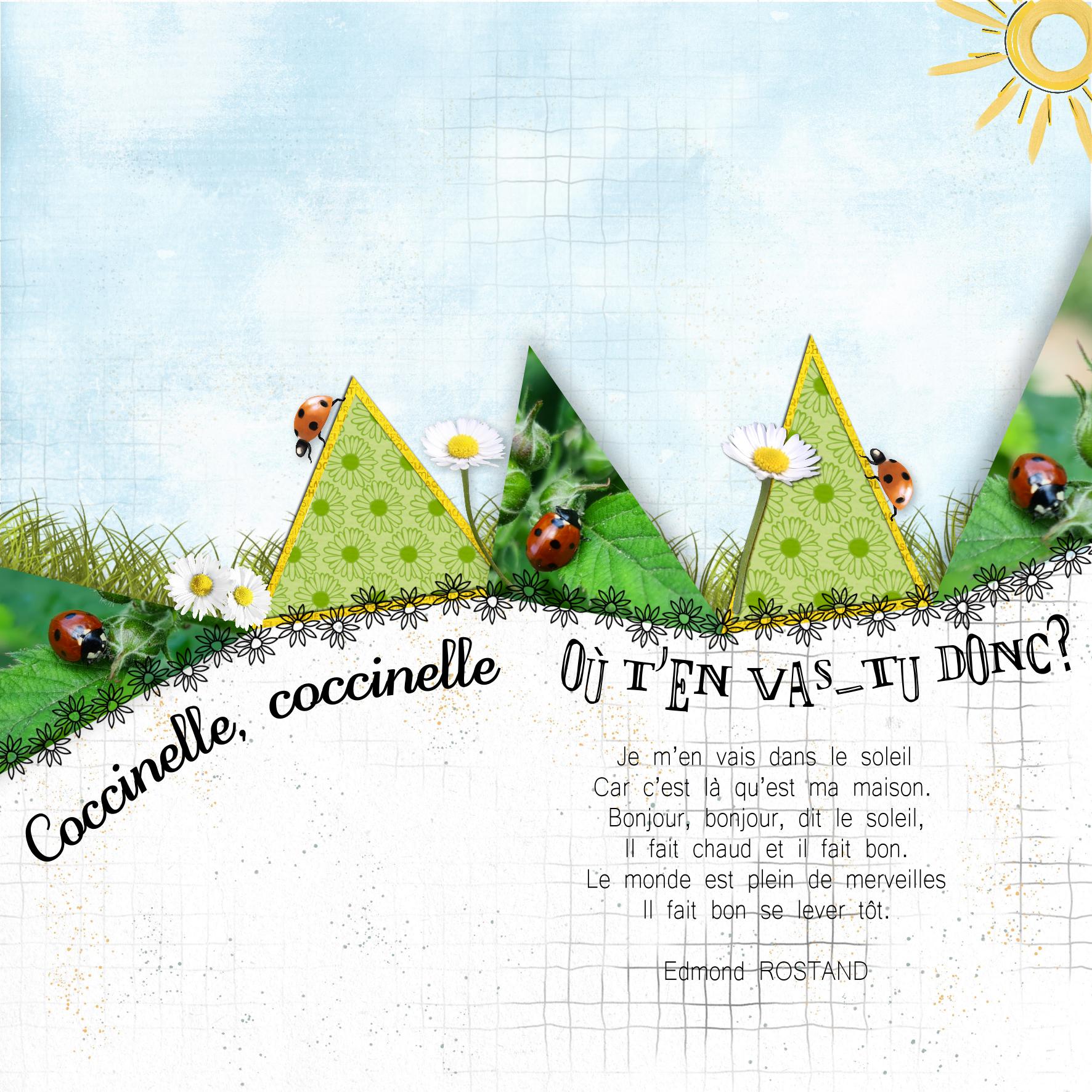 coccinelle poeme.jpg