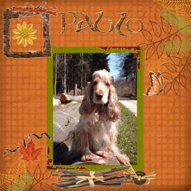 Cocker en équilibre