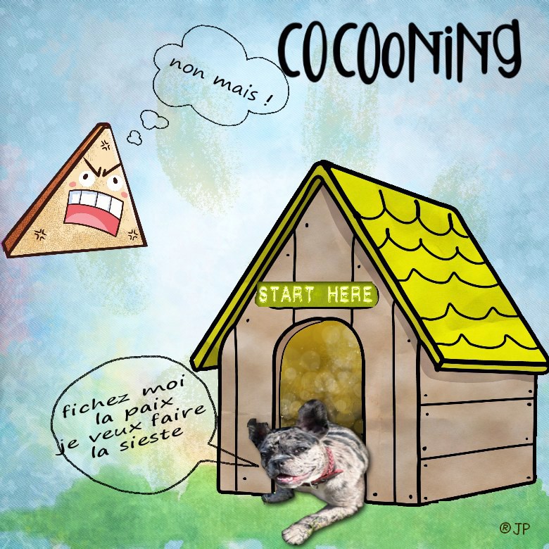 cocooning vendredi 27 3.jpg